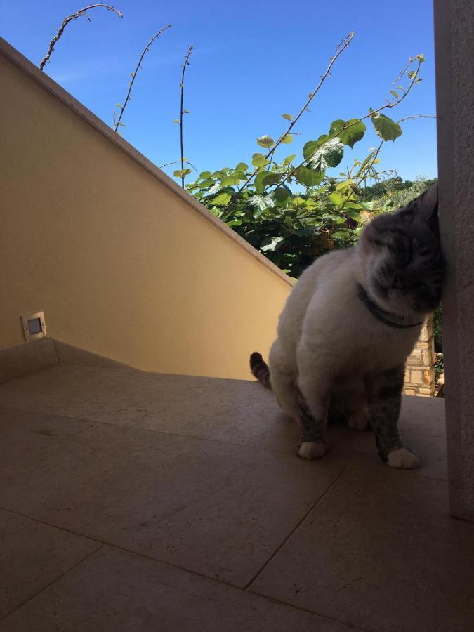 Apartmán Hacienda Monica Umag