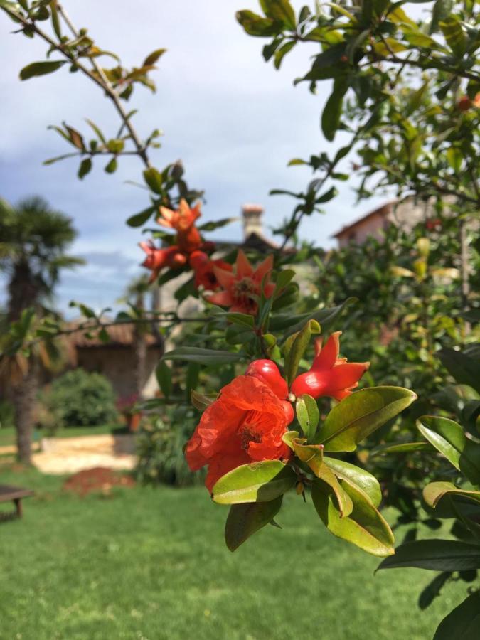 Hacienda Monica Umag