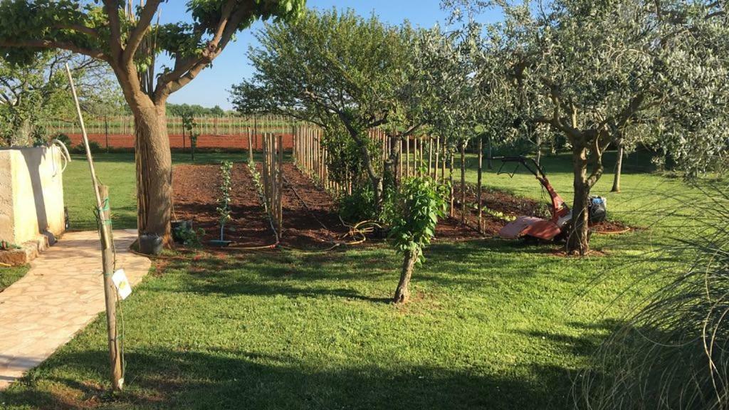 Hacienda Monica Apartmán